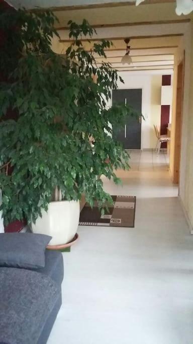 In
